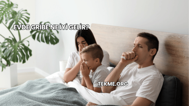 Evde Gribe Ne İyi Gelir?