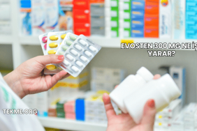 Evosten 300 Mg Ne İşe Yarar?