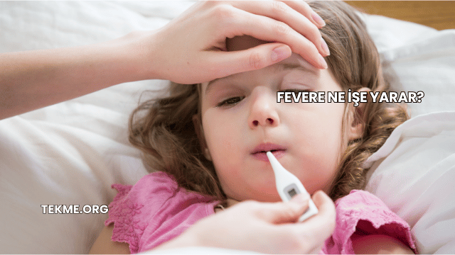 Fevere Ne İşe Yarar?