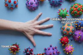 Gribal Enfeksiyona Ne İyi Gelir?