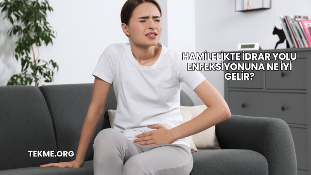 Hamilelikte İdrar Yolu Enfeksiyonuna Ne İyi Gelir?