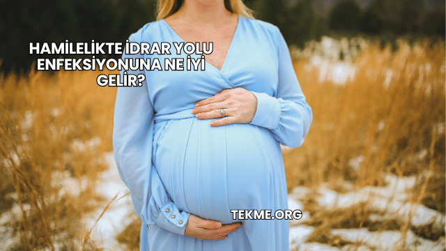 Hamilelikte İdrar Yolu Enfeksiyonuna Ne İyi Gelir?