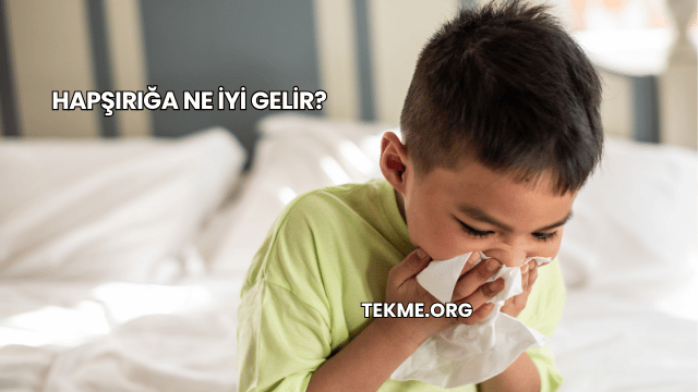 Hapşırığa Ne İyi Gelir?