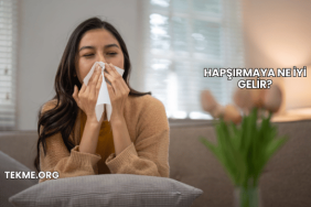 Hapşırmaya Ne İyi Gelir?