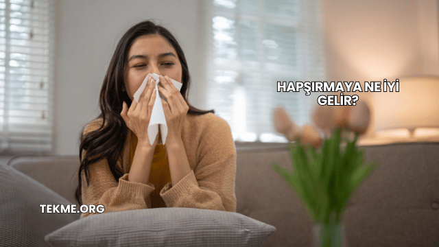 Hapşırmaya Ne İyi Gelir?