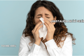 Hastalığa Ne İyi Gelir?