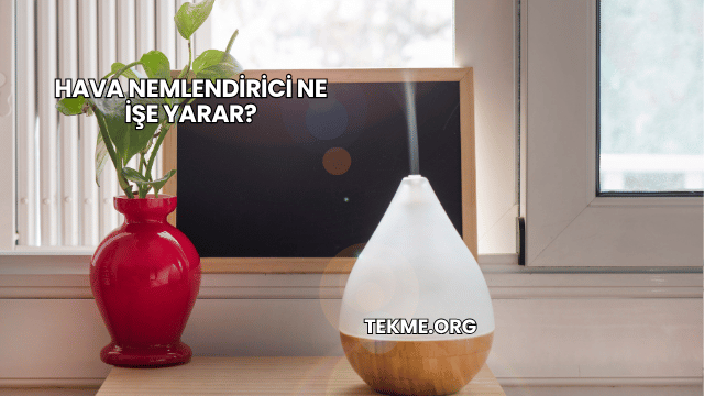 Hava Nemlendirici Ne İşe Yarar?