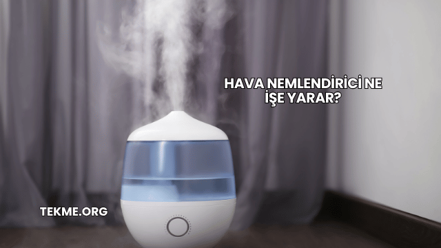 Hava Nemlendirici Ne İşe Yarar?