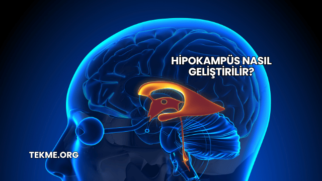 Hipokampüs Nasıl Geliştirilir?