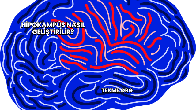 Hipokampüs Nasıl Geliştirilir?