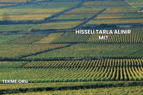 Hisseli Tarla Alınır mı?