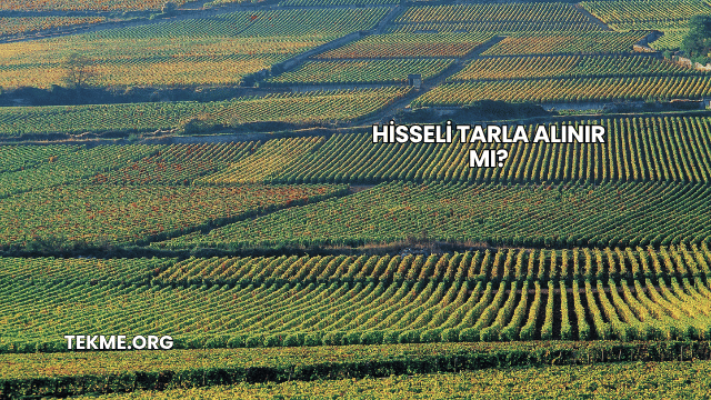 Hisseli Tarla Alınır mı?