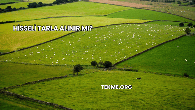 Hisseli Tarla Alınır mı?