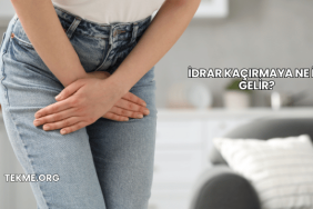 İdrar Kaçırmaya Ne İyi Gelir?