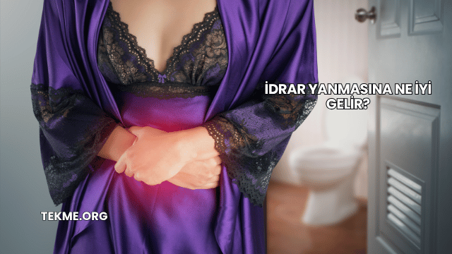 İdrar Yanmasına Ne İyi Gelir?