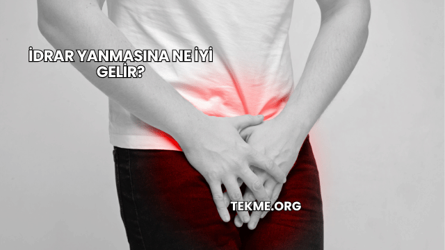 İdrar Yanmasına Ne İyi Gelir?