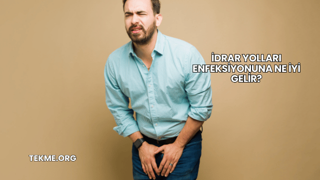 İdrar Yolları Enfeksiyonuna Ne İyi Gelir?