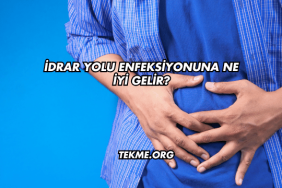 İdrar Yolu Enfeksiyonuna Ne İyi Gelir?