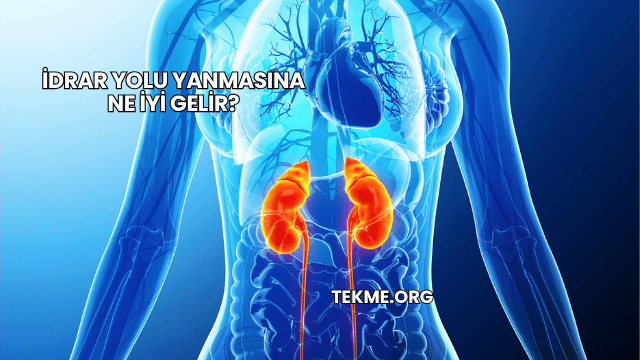 İdrar Yolu Yanmasına Ne İyi Gelir?