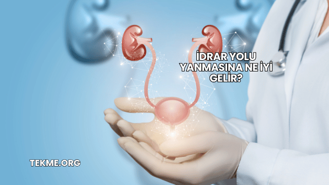İdrar Yolu Yanmasına Ne İyi Gelir?