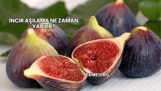 İncir Aşılama Ne Zaman Yapılır?