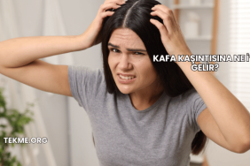 Kafa Kaşıntısına Ne İyi Gelir?