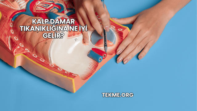 Kalp Damar Tıkanıklığına Ne İyi Gelir?