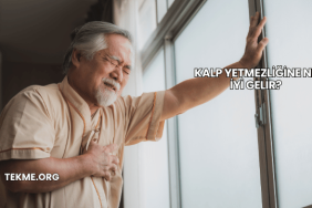 Kalp Yetmezliğine Ne İyi Gelir?