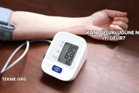 Kan Düşüklüğüne Ne İyi Gelir?