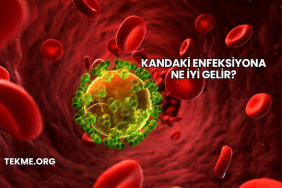 Kandaki Enfeksiyona Ne İyi Gelir?