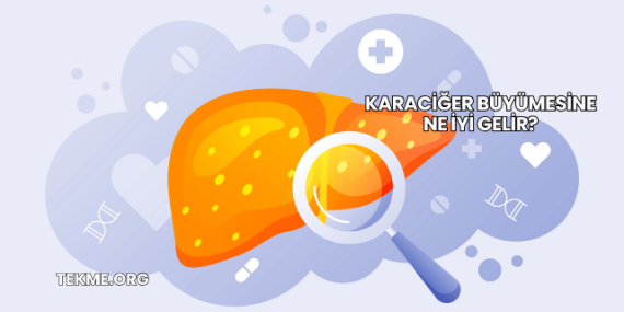 Karaciğer Büyümesine Ne İyi Gelir?