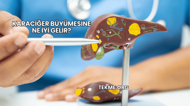 Karaciğer Büyümesine Ne İyi Gelir?