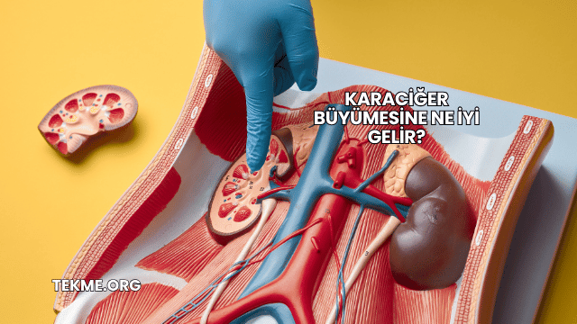 Karaciğer Büyümesine Ne İyi Gelir?