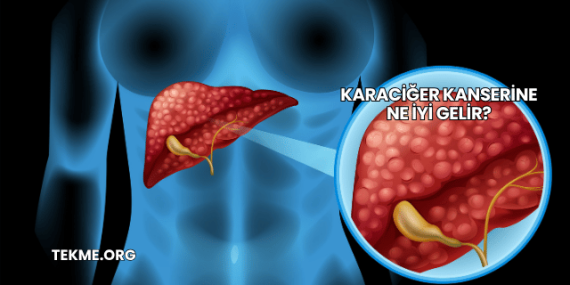 Karaciğer Kanserine Ne İyi Gelir?