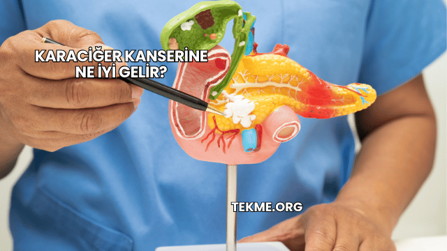 Karaciğer Kanserine Ne İyi Gelir?