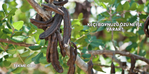 Keçi Boynuzu Özü Ne İşe Yarar?