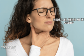 Kedi Alerjisine Ne İyi Gelir?