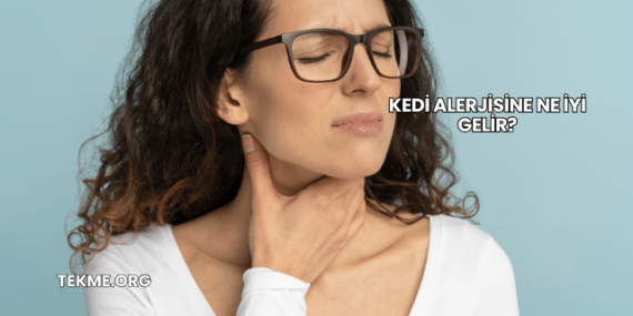 Kedi Alerjisine Ne İyi Gelir?