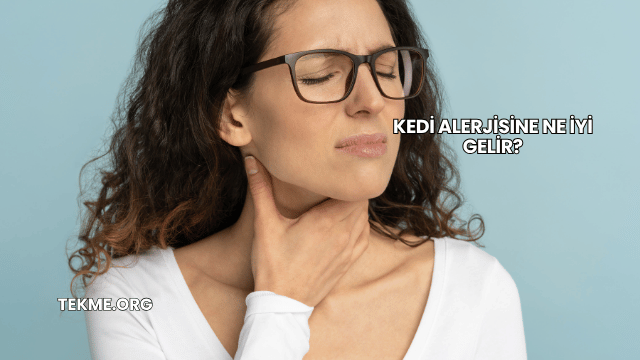 Kedi Alerjisine Ne İyi Gelir?
