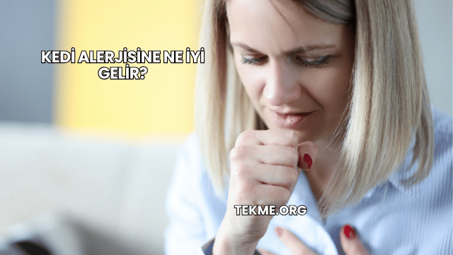 Kedi Alerjisine Ne İyi Gelir?