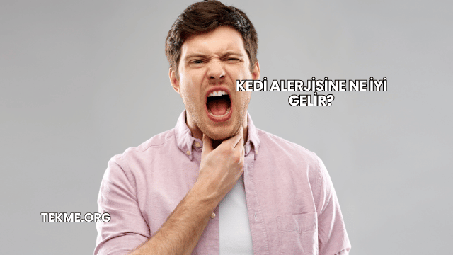 Kedi Alerjisine Ne İyi Gelir?