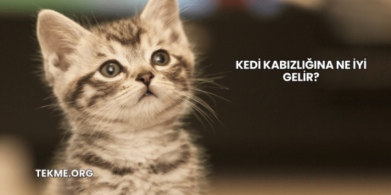 Kedi Kabızlığına Ne İyi Gelir?