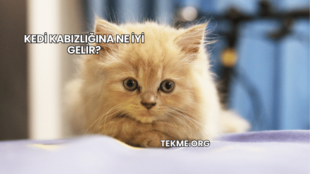 Kedi Kabızlığına Ne İyi Gelir?