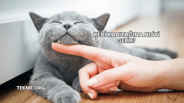 Kedi Kabızlığına Ne İyi Gelir?