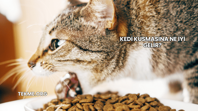 Kedi Kusmasına Ne İyi Gelir?