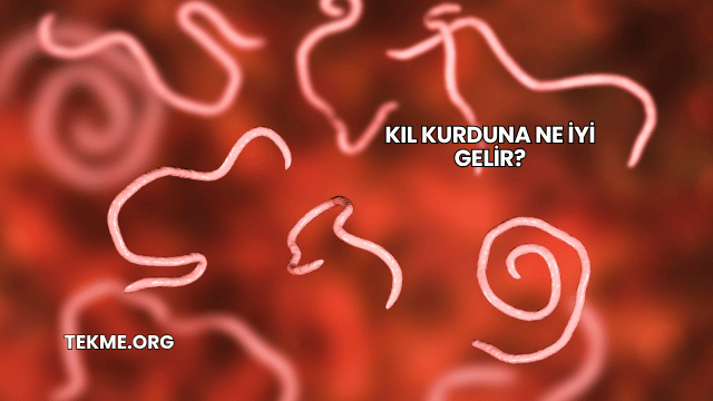 Kıl Kurduna Ne İyi Gelir?