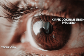 Kirpik Dökülmesine Ne İyi Gelir?