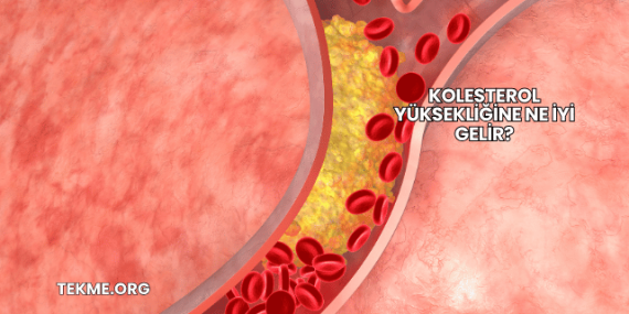 Kolesterol Yüksekliğine Ne İyi Gelir?