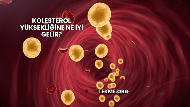 Kolesterol Yüksekliğine Ne İyi Gelir?
