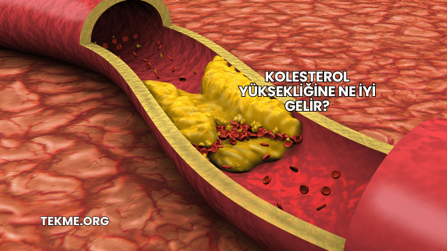 Kolesterol Yüksekliğine Ne İyi Gelir?